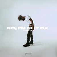 No, I'm Not Ok - Jay-Way, Jonasu