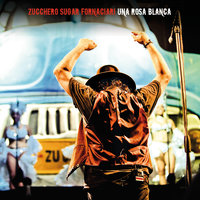Everybody 's Got To Learn Sometime - Zucchero