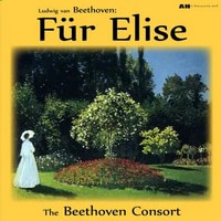 Beethoven Consort