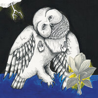 I've Been Riding With the Ghost - Songs: Ohia