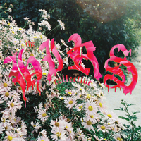 Invisible - The Hirs Collective, Shirley Manson