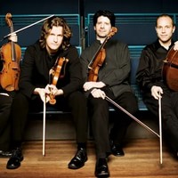 Vitamin String Quartet