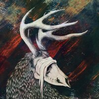 Open Wound - Svalbard