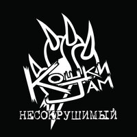 Мексика - Кошки Jam