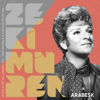 Hastayım Yaşıyorum - Zeki Müren