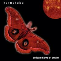 Time Stands Still - Karnataka