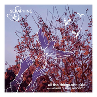 All The Things She Said - Jasmine Clarke, Absofacto