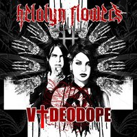 Alkaline Twins - HELALYN FLOWERS