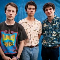 Wallows