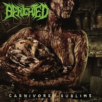 Spit - Benighted, Niklas Kvarforth