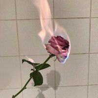 I Hate Everything About You - longlost