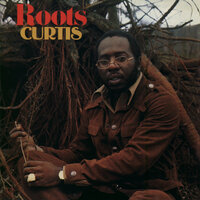 Get Down - Curtis Mayfield