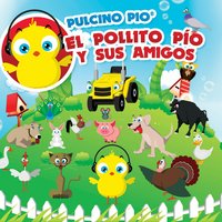 Io sono Pio - PULCINO PIO