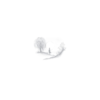 Fantastic Frown - Birds Of Passage