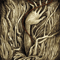A Sleeper - Her Name is Calla
