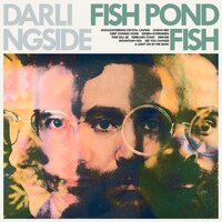 Ocean Bed - Darlingside
