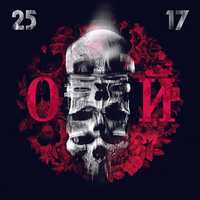 Ой - 25/17