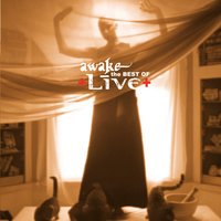 Lightning Crashes - Live