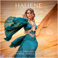 Walk Through Walls - Haliene, Markus Schulz