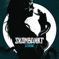 Kald, kald natt - Skambankt