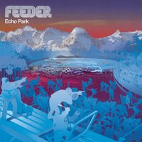 Bug - Feeder