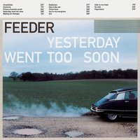 Hole in My Head - Feeder