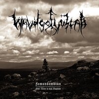 Kapitel II - Steinwüsten - Waldgeflüster