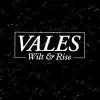 Scripted - Vales