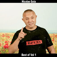 Azi Noapte Vorbeai In Somn - Nicolae Guta