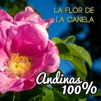 Sol de los Andes - Los Kjarkas