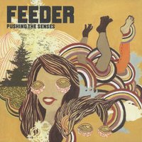Dove Grey Sands - Feeder