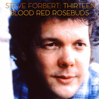 Breaking Through - Steve Forbert