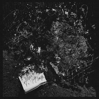 Проиграли - Три дня дождя, aikko