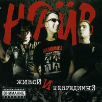 Сила ночи — сила дня - НАИВ