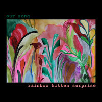Our Song - Rainbow Kitten Surprise