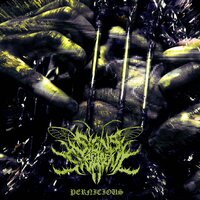 Pernicious - Signs of the Swarm