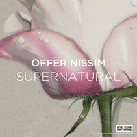 Mucho Bien - Offer Nissim, Mr. Black