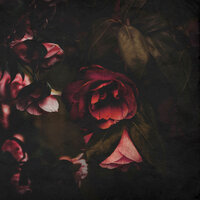 Flowers - CHIP