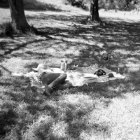 So Humble the Afternoon - Julia Holter