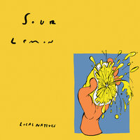 Lemon - Local Natives, Sharon Van Etten
