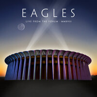 The Boys Of Summer - Eagles