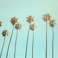 California Dreaming - Lunis, BRAN