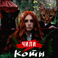 Коты - ЧИЛИ