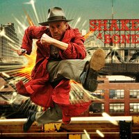 Shake a Bone - Son Of Dave