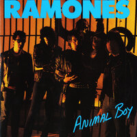She Belongs to Me - Ramones