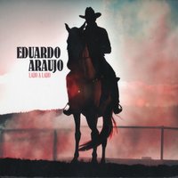 Sonhos e Ilusões em Mim - Eduardo Araujo