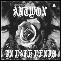 3rd World Grrl - Antwon