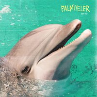 Kar Yağmıştı - Palmiyeler