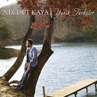 Bir Ay Doğar - Necdet Kaya