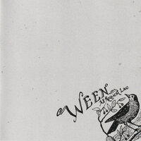 Cover It With Gas And Set It On Fire - Ween